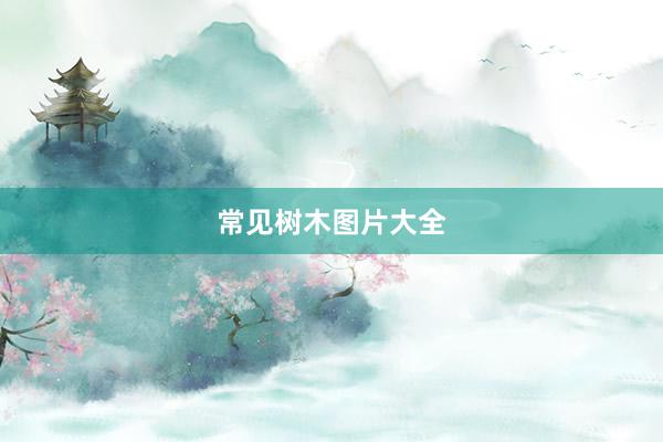 常见树木图片大全