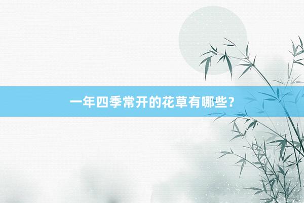 一年四季常开的花草有哪些？